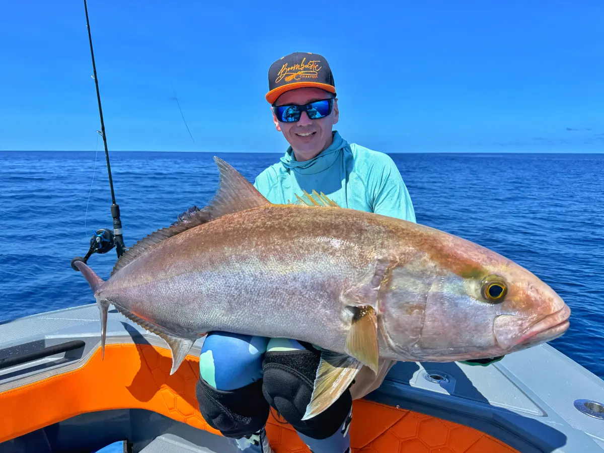 Тур Big Game Mahe Plato 8h